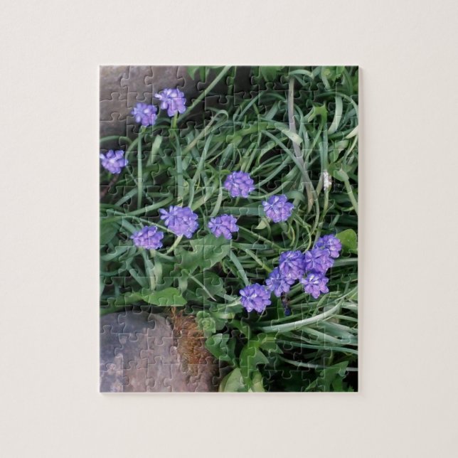 Puzzle jacinthe de raisin commun, fleur violet bleu, flor (Vertical)
