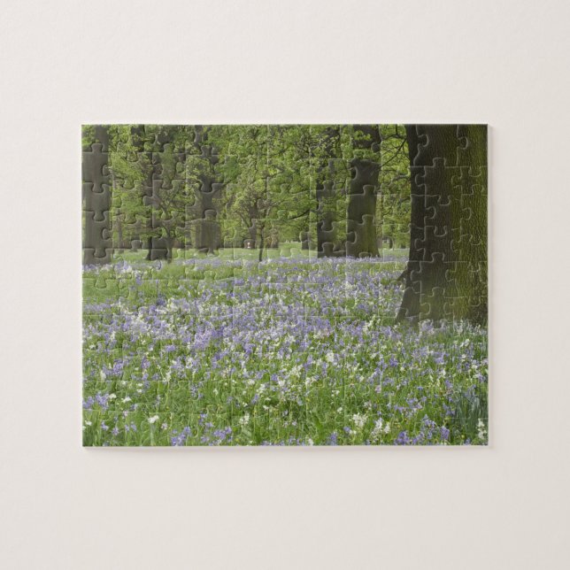 Puzzle Jacinthes des bois et chênes au printemps, Little  (Horizontal)