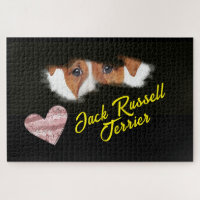 Jack Russell Terrier Yeux Couleur solide 1000 pièc