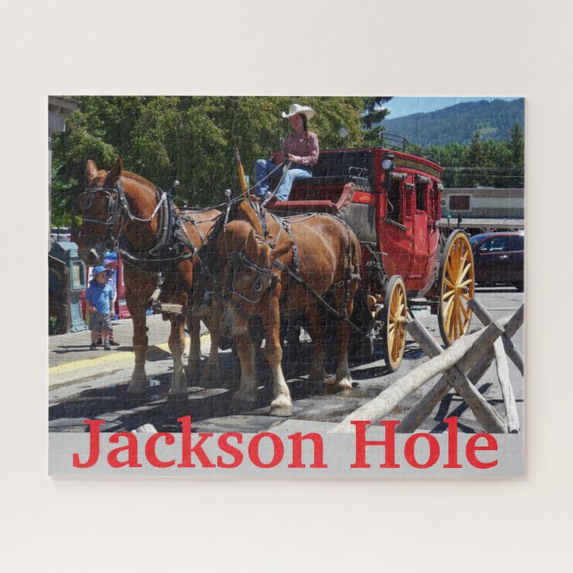 Puzzle Jackson Hole Wyoming diligence (Horizontal)