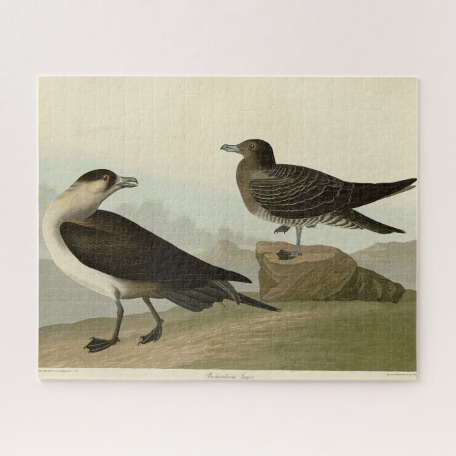 Puzzle Jager de Richardson de Audubon's Birds of America (Horizontal)