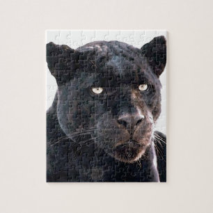 Puzzle Jaguar
