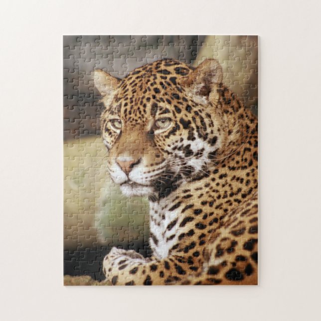Puzzle Jaguar (Vertical)
