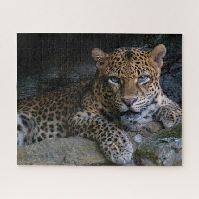 Puzzle Jaguar animal sauvage (Horizontal)