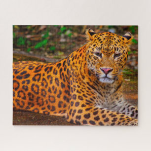 Puzzle Jaguar Big Cats.