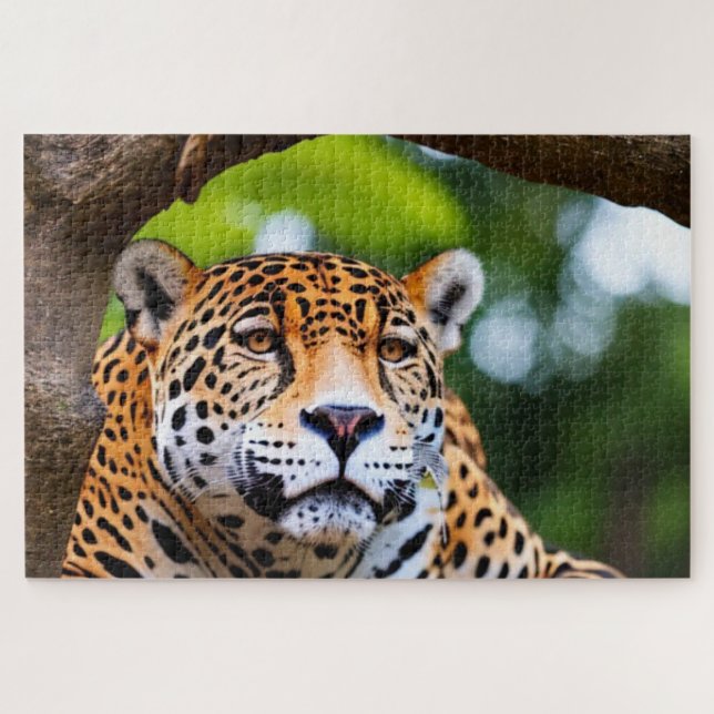 Puzzle Jaguar Dans Un Arbre (Horizontal)