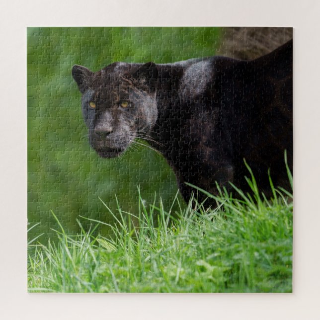 Puzzle Jaguar noir qui possède la lumière (Vertical)