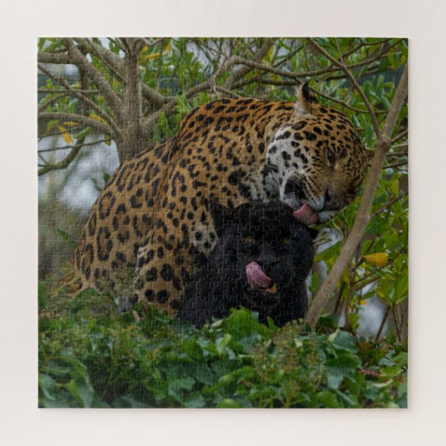 Puzzle Jaguars In Love (Vertical)