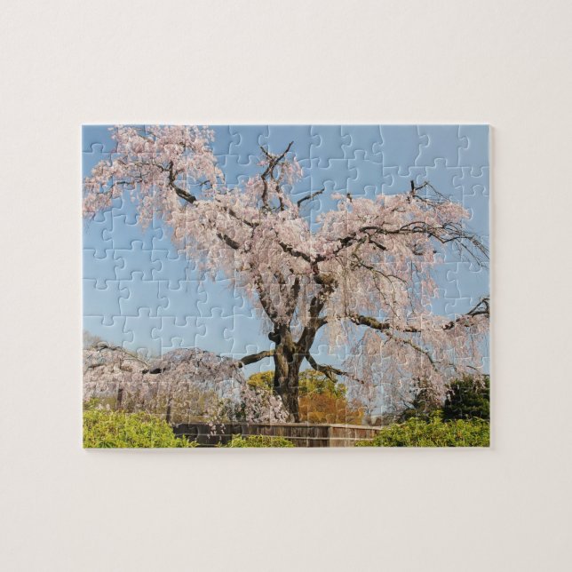 Puzzle Japon, Kyoto. Cerisier plumant sous ciel bleu (Horizontal)