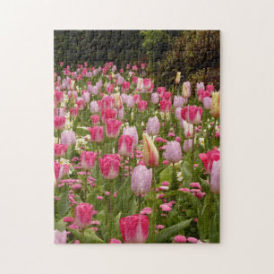 Puzzle Jardin aux tulipes !