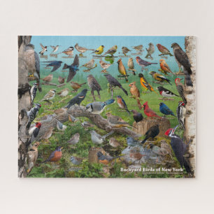 Puzzle Jardin Birds de New York