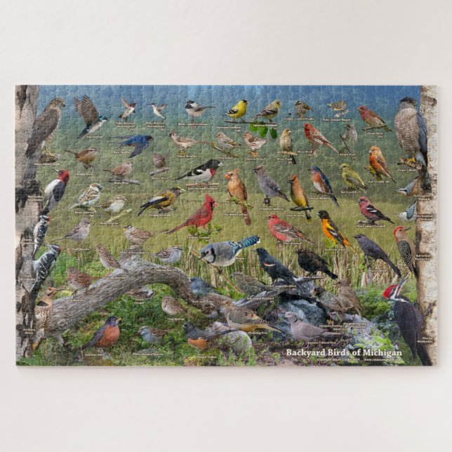 Puzzle Jardin Birds du Michigan (Horizontal)