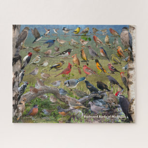 Puzzle Jardin Birds du Michigan