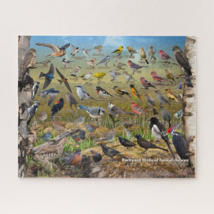 Puzzle Jardin Birds of Saskatchewan