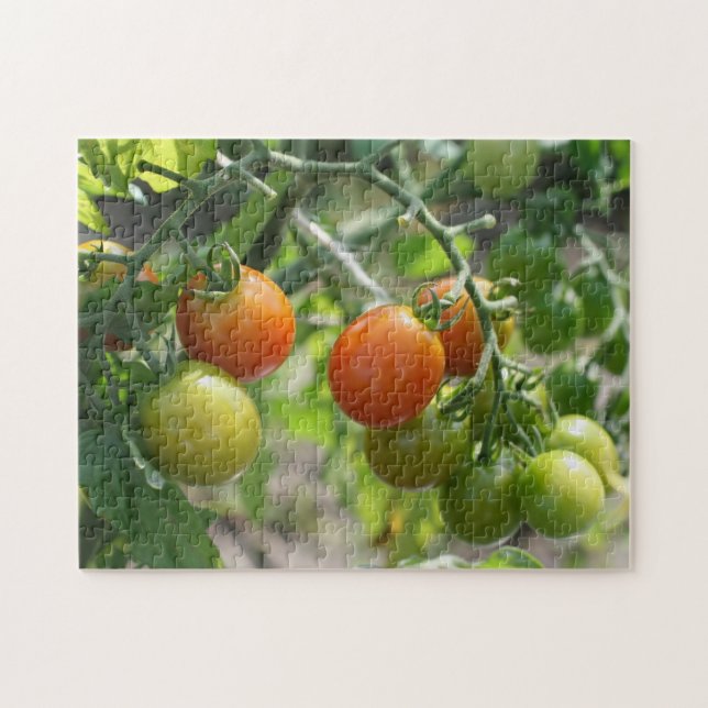 Puzzle Jardin Cherry Tomates Nature (Horizontal)