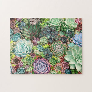 Puzzle Jardin coloré Succulent
