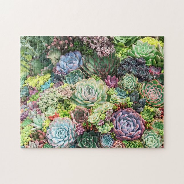 Puzzle Jardin coloré Succulent (Horizontal)