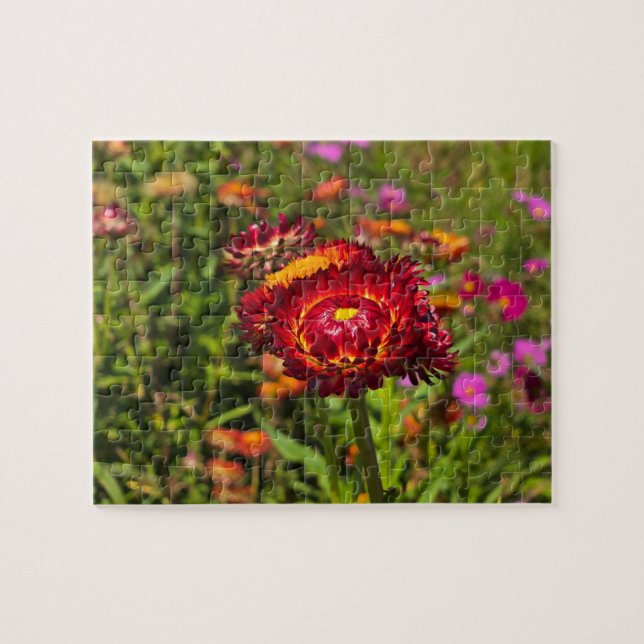 Puzzle Jardin de fleurs (Horizontal)