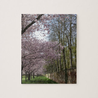 Puzzle Jardin de fleurs de cerisier