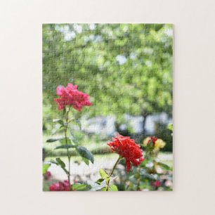 Puzzle Jardin de la photographie de la nature des Roses r