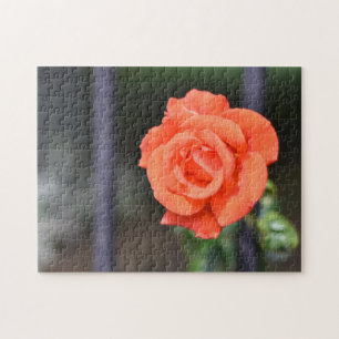 Puzzle Jardin de photographie de la Fleur Rouge