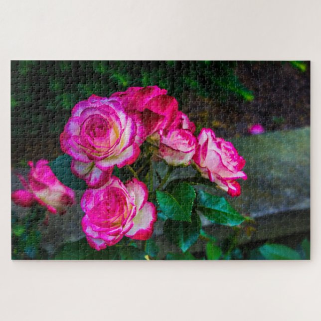 Puzzle Jardin de roses rouges (Horizontal)
