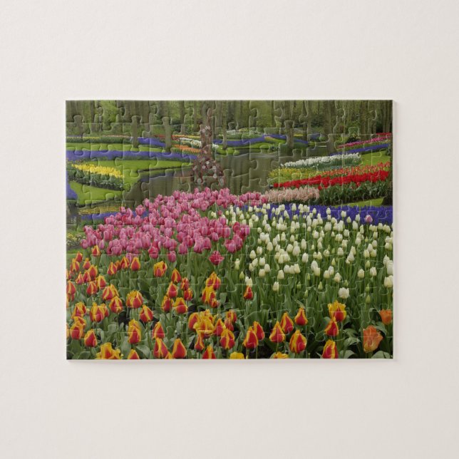 Puzzle Jardin de Tulip et d'Hyacinth, jardins de Keukenho (Horizontal)