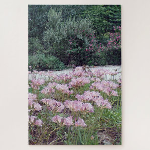 Puzzle Jardin des Lilies Surprise