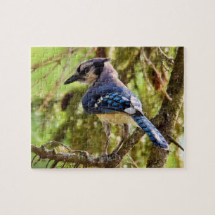 Puzzle Jardin dynamique Blue Jay - 8x10 - 110 pc.
