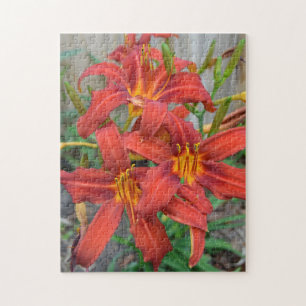 Puzzle Jardin Fleur Rouge Daylillies Vert Feuilles Photo