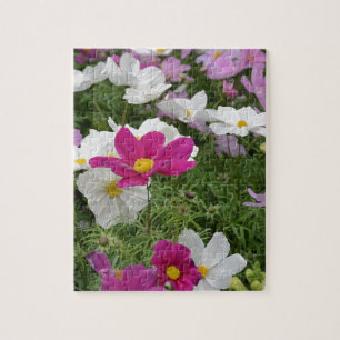 Puzzle Jardin fleuri cosmos coloré