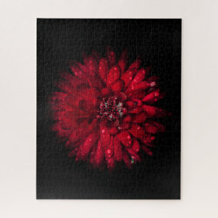 Puzzle Jardin Fleurs No 45 Version couleur