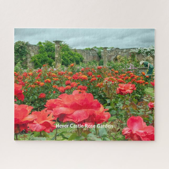 Puzzle Jardin rose Hever Château Kent Photo Pittoresque (Horizontal)