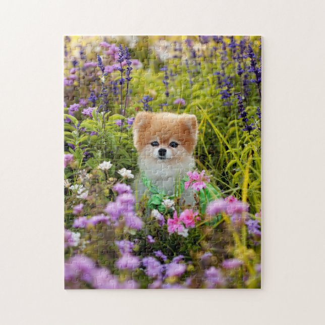 Puzzle - Jardin secret Bella Pomeranian (Vertical)