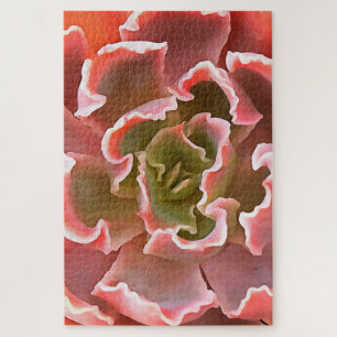 Puzzle Jardin superbe Les tons roses Succulents Art réali