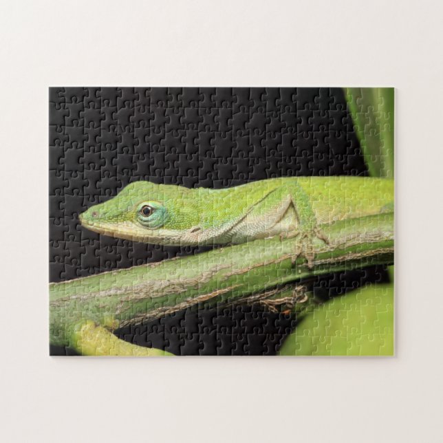 Puzzle Jardin vert mignon Anole Lizard Nature Faune (Horizontal)