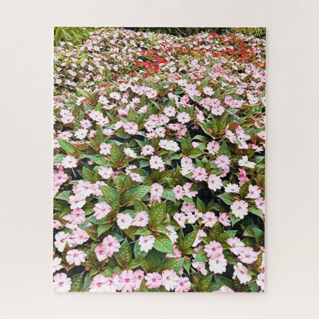 Puzzle Jardins botaniques fleurs roses NSW (Vertical)