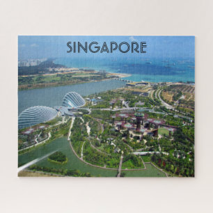 Puzzle jardins de singapour