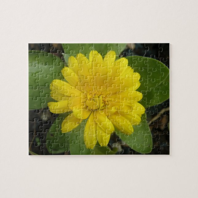 Puzzle jaune brillant Marigold (Horizontal)