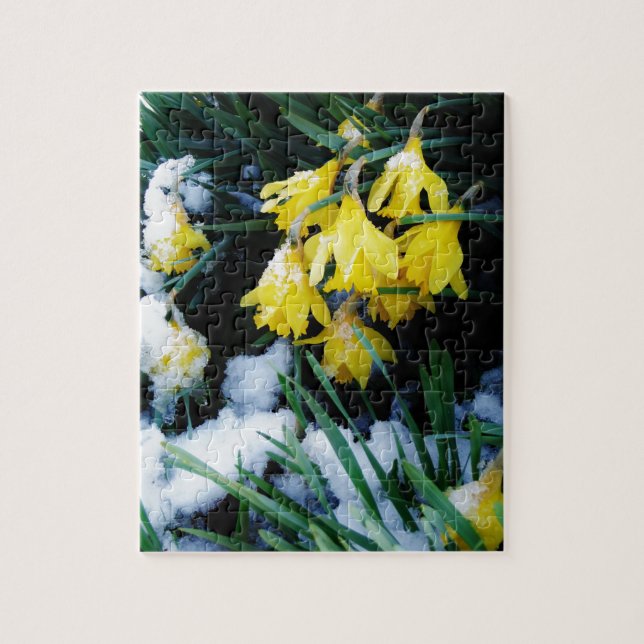 Puzzle Jaune Daffodils fleurs dans la neige (Vertical)