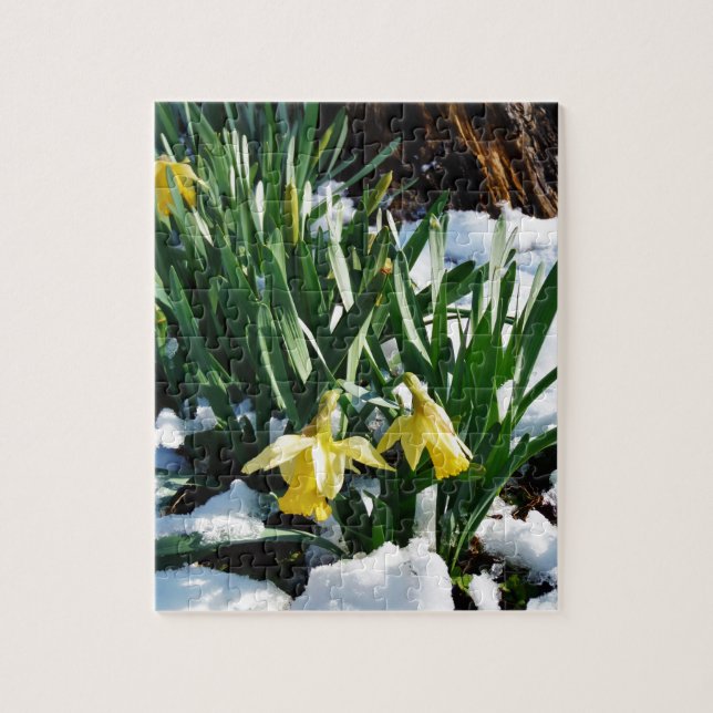 Puzzle Jaune Daffodils fleurs dans la neige (Vertical)