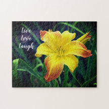 Jaune et orange Daylily Motivational