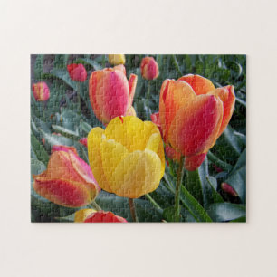 Puzzle Jaune et rouge Tulips Rock Garden Photo