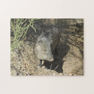 Puzzle Javelina
