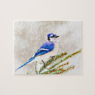 Puzzle Jay bleu dans un pin avec neige