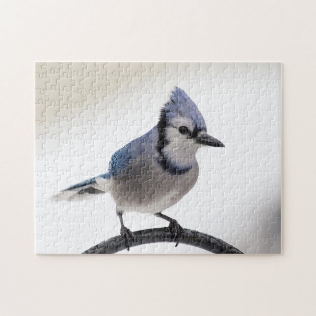 Puzzle Jay bleu en hiver (Horizontal)