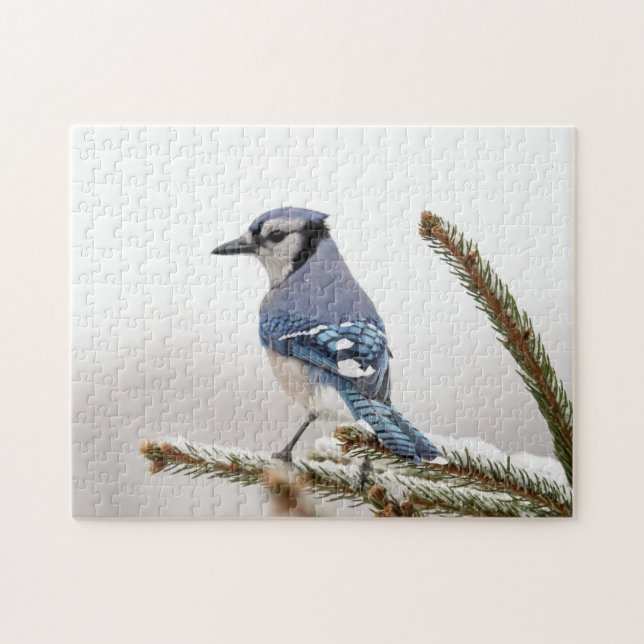 Puzzle Jay bleu en hiver (Horizontal)