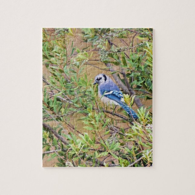 Puzzle Jay bleu sur le myrte de cire (Vertical)