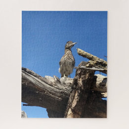 Puzzle Je regarde M. Coyote