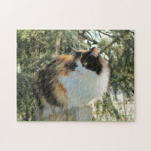 Puzzle Je remarque avec mon oeil froid